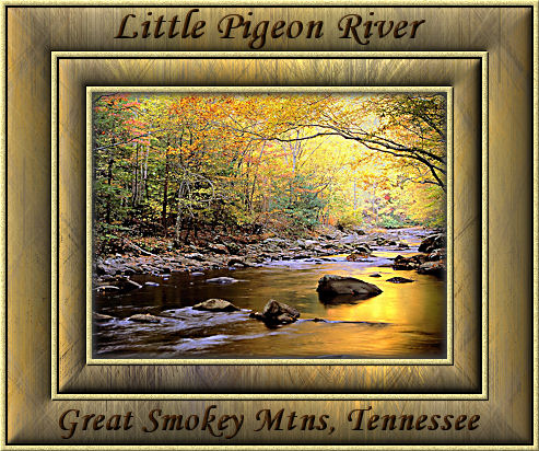 GraphicsByLiz_Little_Pigeon_River_Tennessee