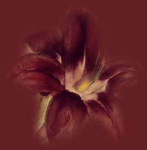 GraphicsByLiz_Burgundy_Day_Lily_Cheri_Blum_August2008