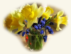 GraphicsByLiz_DaffodilsAndSunshine_June2008