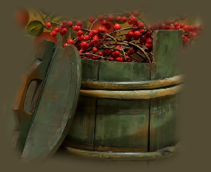 GraphicsByLiz_Ostby-RedBerriesInBucket_May2008
