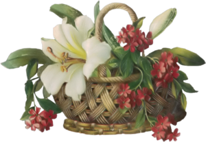 GraphicsByLiz_BasketOfFlowers_May2008