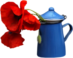 GraphicsByLiz_Romano_Poppy_May2008