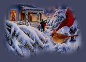 GraphicsByLiz_CardinalsInTheSnow_Dec2008
