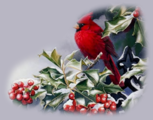 GraphicsByLiz_Cardinals_Nov2008