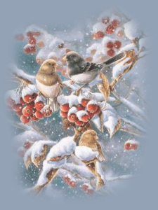 GraphicsByLiz_WinterJuncosAndCrabApples_Nov2008