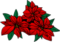 GraphicsByLiz_RedPoinsetta_Dec2008