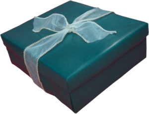 GraphicsByLiz_Green_Christmaspresent_Nov2007
