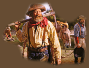 GraphicsByLiz_RODRIGUEZ_Alfredo_TheSearchIsOn_Oct2008
