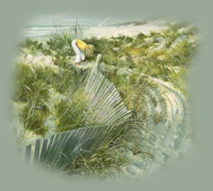 GraphicsByLiz_CarolynBlish_Duneroad_July2008
