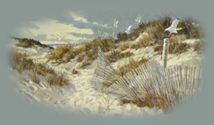 GraphicsByLiz_CarolynBlish_Gullsworld_July2008