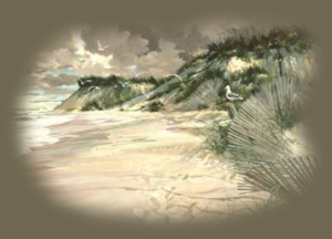 GraphicsByLiz_CarolynBlish_Sentinel_July2008