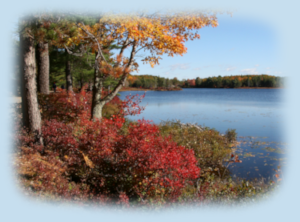 GraphicsByLiz_EagleLakeAcadia_Maine_NatrionalParkServicePhotograph_Oct2008