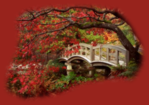 GraphicsByLiz_Japanese_Garden_Royal_Roads_University_BC_Canada_Oct2008