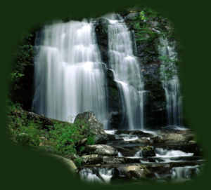 GraphicsByLiz_MeigsFallsGreatSmokyMountainNPTN_April2008