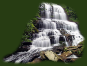 GraphicsByLiz_Pearson_Falls_SaludaNC_NatrionalParkServicePhotograph_Oct2008