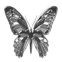 GraphicsByLiz_StainedGlassButterfly_July2008