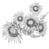GraphicsByLiz_SunflowerGlory2006