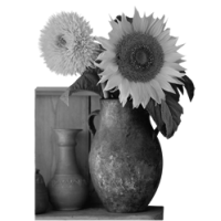 GraphicsByLiz_SunflowerInCopperPot_Feb2008