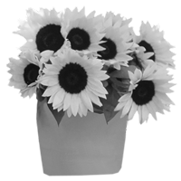 GraphicsByLiz_asunnyafternoon01