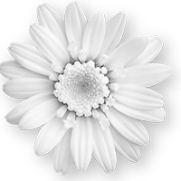 GraphicsByLiz_daisy02