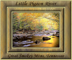 GraphicsByLiz_Little_Pigeon_River_Tennessee