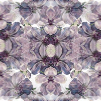 Floral