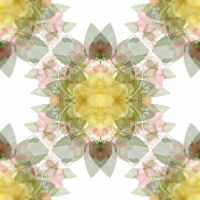 Floral
