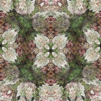 Floral